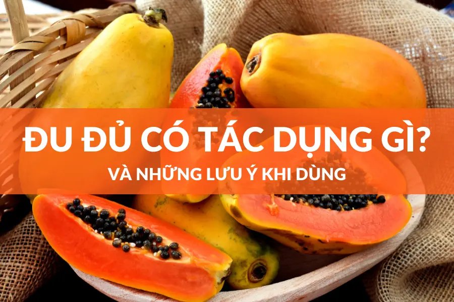 Đu đủ: 9 Tác Dụng Thần Kỳ Và Những Lưu Ý