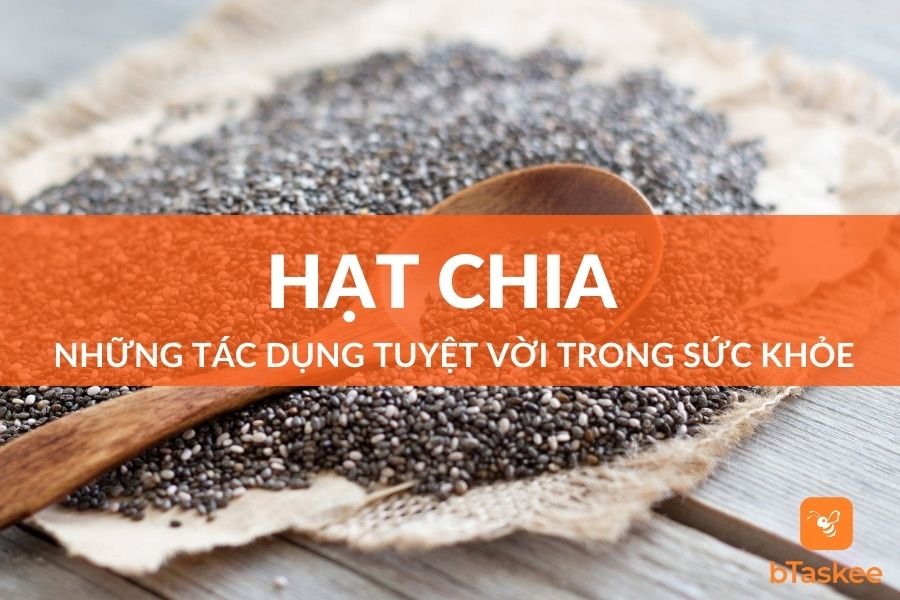 Hạt Chia: Những Tác Dụng Tuyệt Vời Trong Sức Khỏe