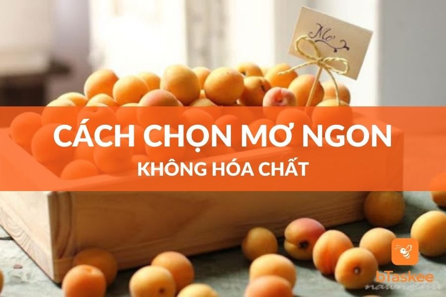Cách Chọn Mơ Ngon Không Ngâm Hóa Chất