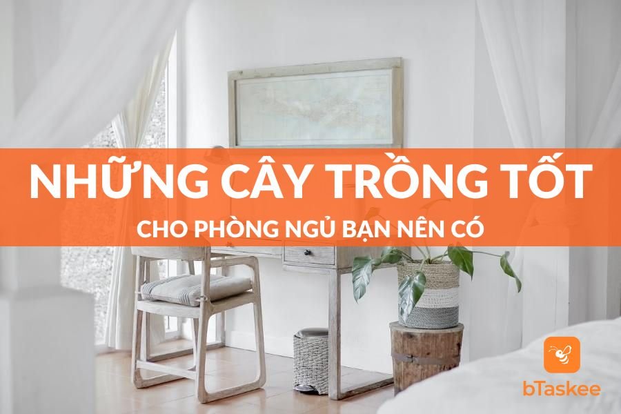 Top Những Cây Trồng Tốt Cho Phòng Ngủ Bạn Nên Có