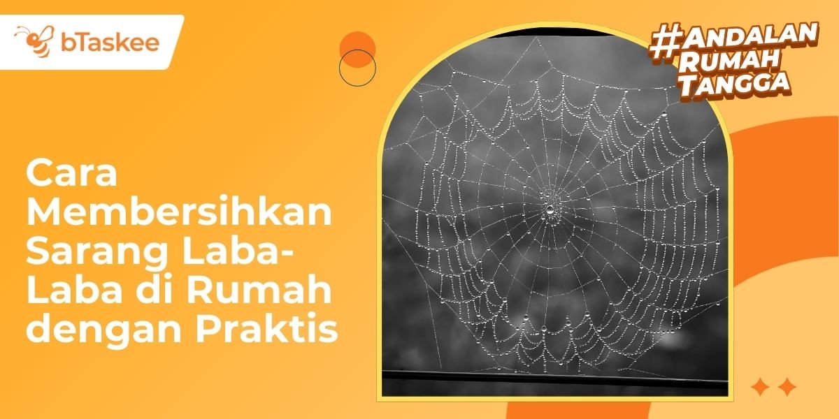 Cara Membersihkan Sarang Laba-Laba di Rumah dengan Praktis