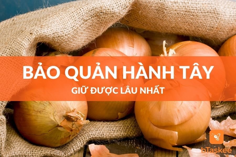 Cách Bảo Quản Hành Tây Để Được Lâu Nhất