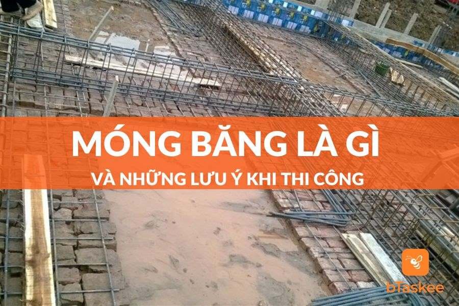 Cấu Tạo Móng Băng Và Những Điều Bạn Cần Lưu Ý