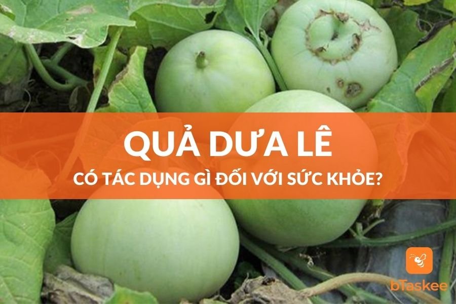 Quả Dưa Lê Có Tác Dụng Gì? Ăn Dưa Lê Có Tốt Không?