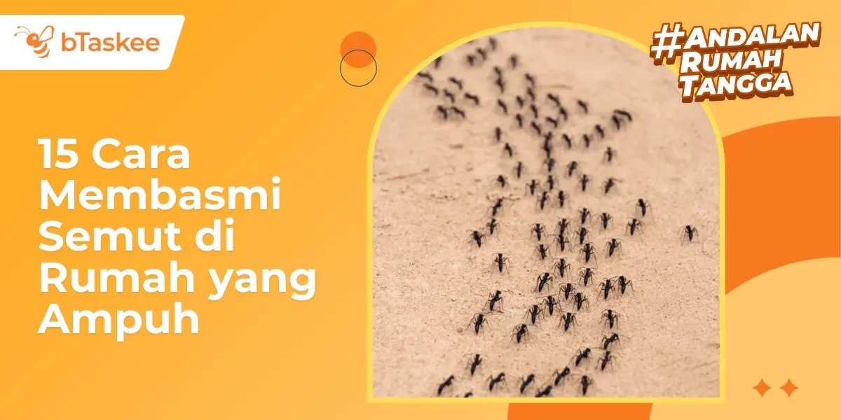 15 Cara Membasmi Semut di Rumah yang Ampuh